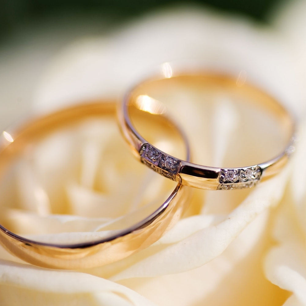 Wedding free demo collection 1